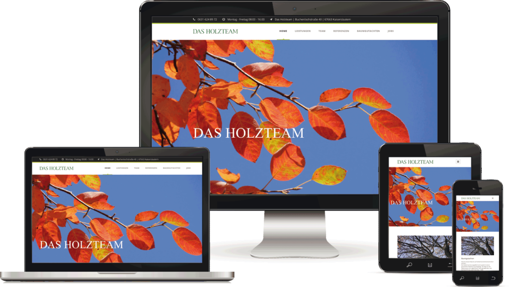 Webagentur in Kaiserslautern, Maintenance - BAQUE-Internetservice