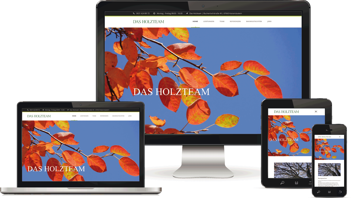 Webagentur in Kaiserslautern, Maintenance - BAQUE-Internetservice