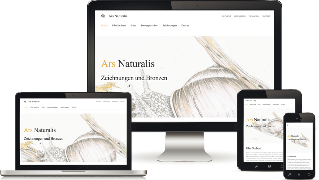 Webshop von BAQUE-Internetservice